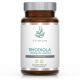 Rhodiola