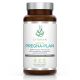 Pregna-Plan Pregnancy Multivitamin