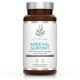 Adrenal Support