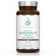 Acidophilus Plus 